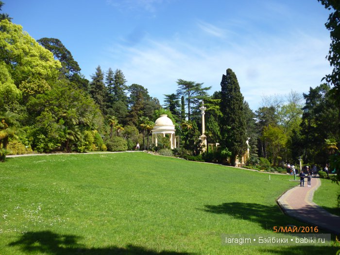 "В краю магнолий плещет море..." Дендрарий в Сочи. Верхняя и нижняя площадки
