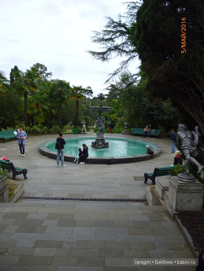 "В краю магнолий плещет море..." Дендрарий в Сочи. Верхняя и нижняя площадки (фото 9)