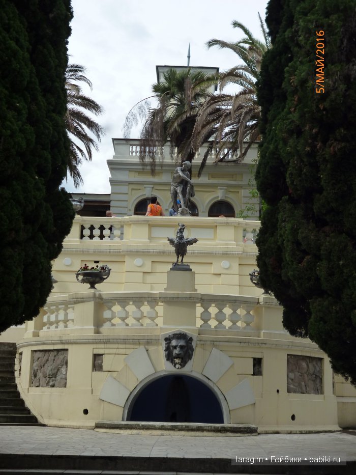 "В краю магнолий плещет море..." Дендрарий в Сочи. Верхняя и нижняя площадки (фото 6)