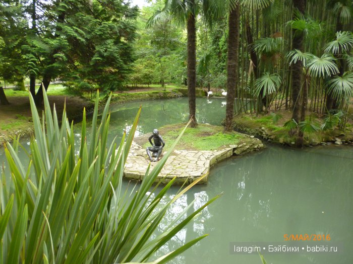 "В краю магнолий плещет море..." Дендрарий в Сочи. Верхняя и нижняя площадки