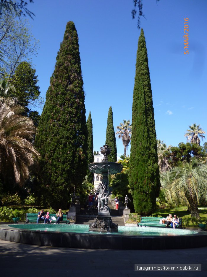 "В краю магнолий плещет море..." Дендрарий в Сочи. Верхняя и нижняя площадки (фото 10)