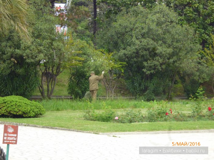 "В краю магнолий плещет море..." Дендрарий в Сочи. Верхняя и нижняя площадки