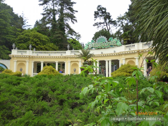 "В краю магнолий плещет море..." Дендрарий в Сочи. Верхняя площадка