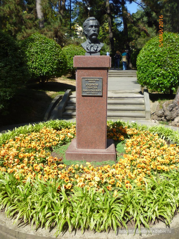 "В краю магнолий плещет море..." Дендрарий в Сочи. Верхняя площадка (фото 2)