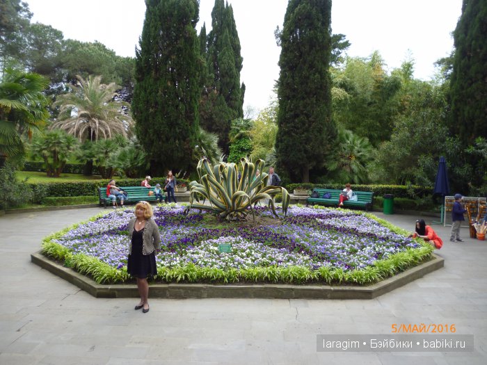 "В краю магнолий плещет море..." Дендрарий в Сочи. Верхняя и нижняя площадки (фото 2)