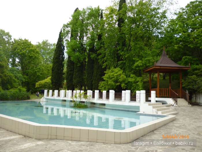 "В краю магнолий плещет море..." Дендрарий в Сочи. Верхняя площадка