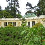 "В краю магнолий плещет море..." Дендрарий в Сочи. Верхняя площадка.