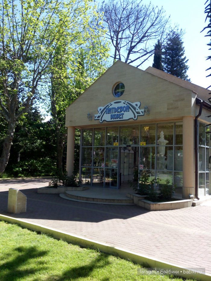 "В краю магнолий плещет море..." Город-сказка Сочи