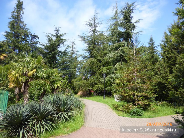 "В краю магнолий плещет море..." Город-сказка Сочи