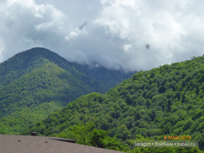"Лучше гор могут быть только горы...." Роза Хутор, в окрестностях Сочи (фото 2)