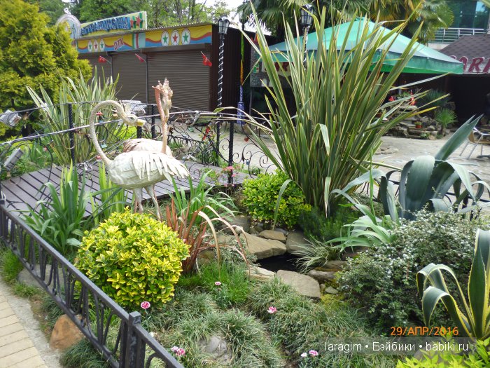 "В краю магнолий плещет море..." Город-сказка Сочи