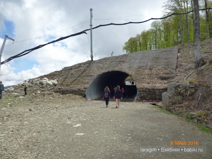 "Лучше гор могут быть только горы...." Роза Хутор, в окрестностях Сочи (фото 10)