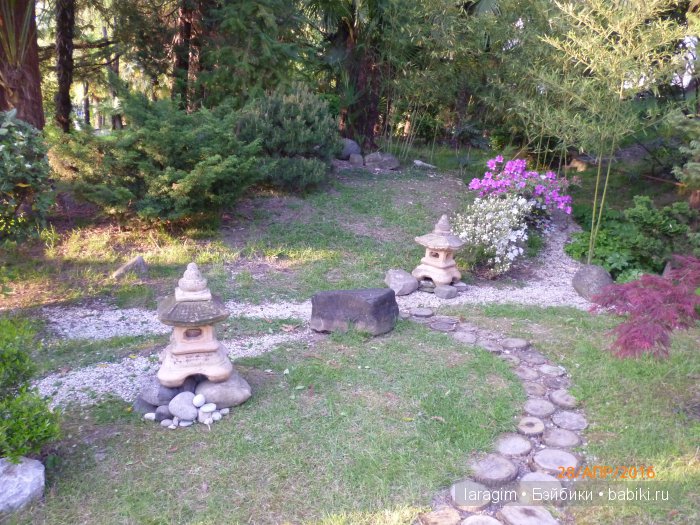 "В краю магнолий плещет море..." Город-сказка Сочи