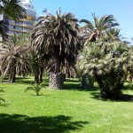 "В краю магнолий плещет море..." Город-сказка Сочи.