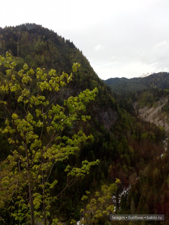 "Большое путешествие по маленькой стране" ... или Абхазия моими глазами