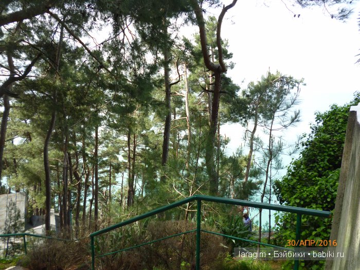 "Большое путешествие по маленькой стране" ... или Абхазия моими глазами