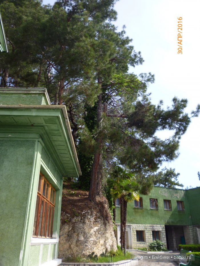 "Большое путешествие по маленькой стране" ... или Абхазия моими глазами (фото 10)