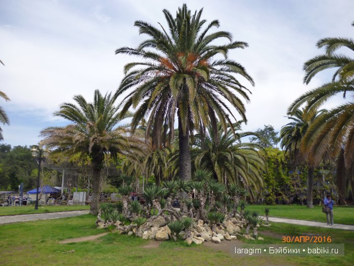 "Большое путешествие по маленькой стране" ... или Абхазия моими глазами