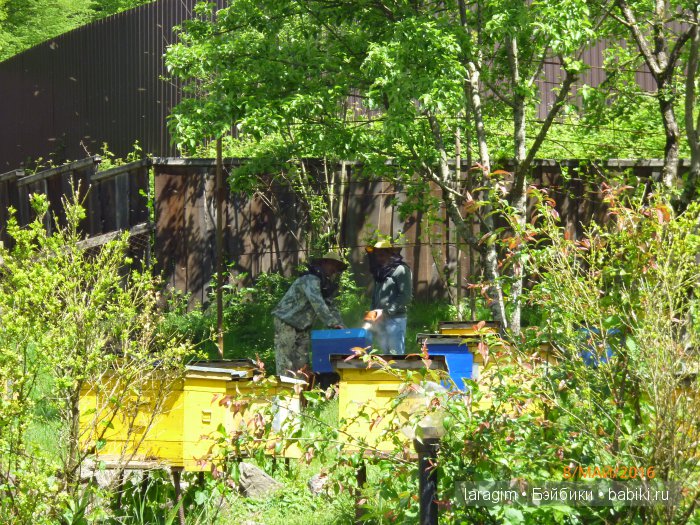 "Большое путешествие по маленькой стране" ... или Абхазия моими глазами