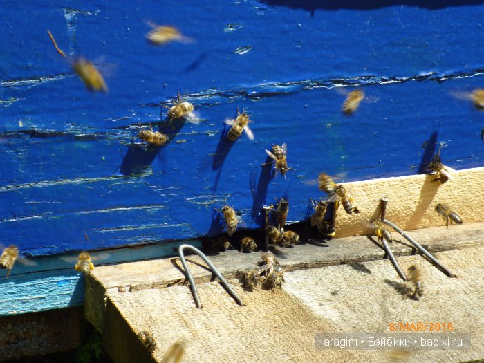 "Большое путешествие по маленькой стране" ... или Абхазия моими глазами