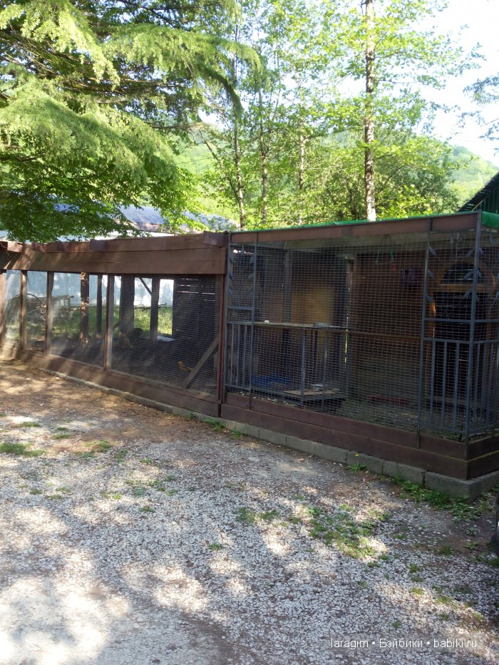 По святым местам - Новоафонский мужской и Троице-Георгиевский женский монастыри