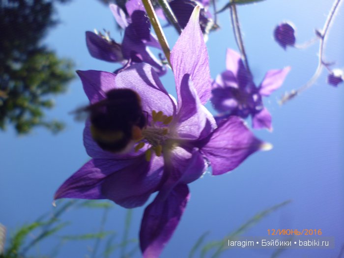 "Ожидая цветения роз..." или или одежда для Gotz своими руками (фото 4)