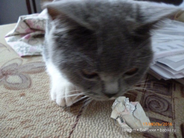 "История одного выходного" или... одежда для кукол Wichtel от Rosemarie Müller (фото 7)