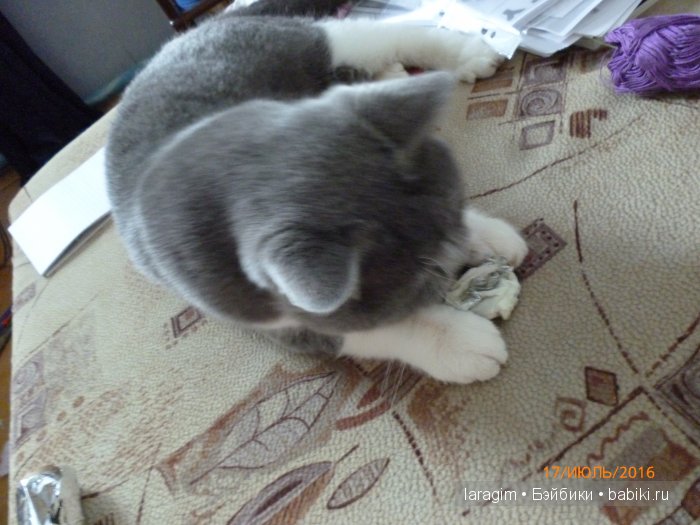 "История одного выходного" или... одежда для кукол Wichtel от Rosemarie Müller (фото 8)