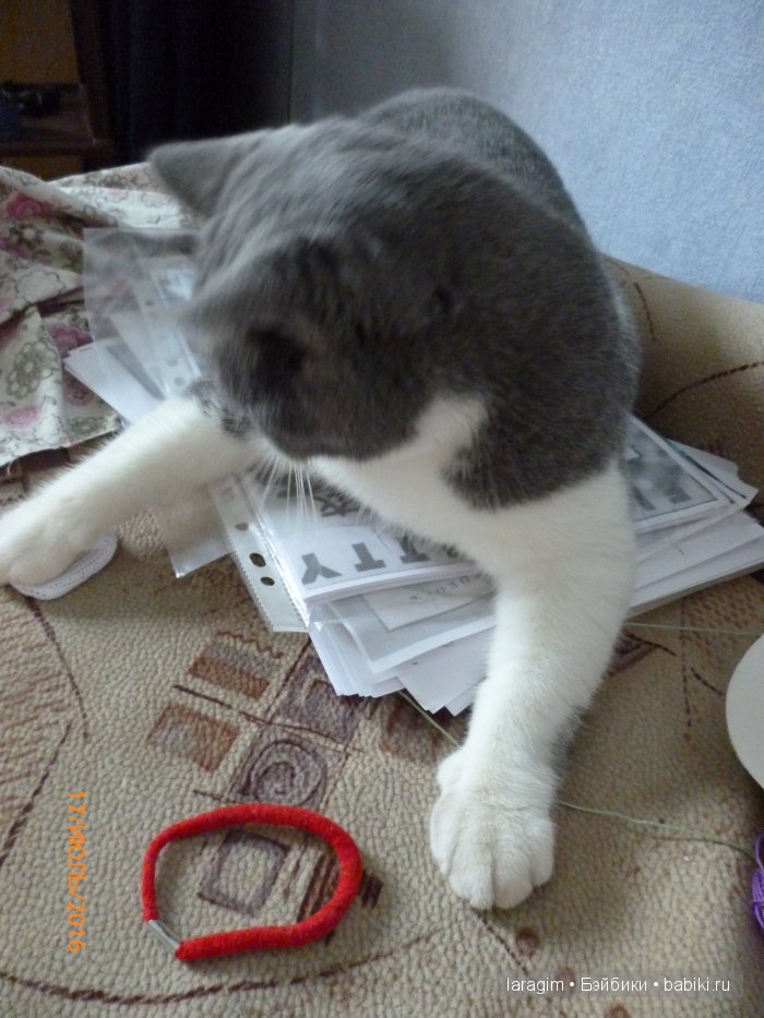 "История одного выходного" или... одежда для кукол Wichtel от Rosemarie Müller (фото 5)