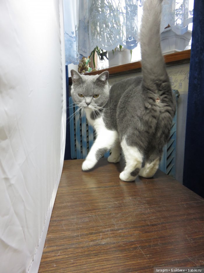 "Когда весна придет - не знаю..." или одежда для Wichtel от Rosemarie Müller своими руками (фото 7)