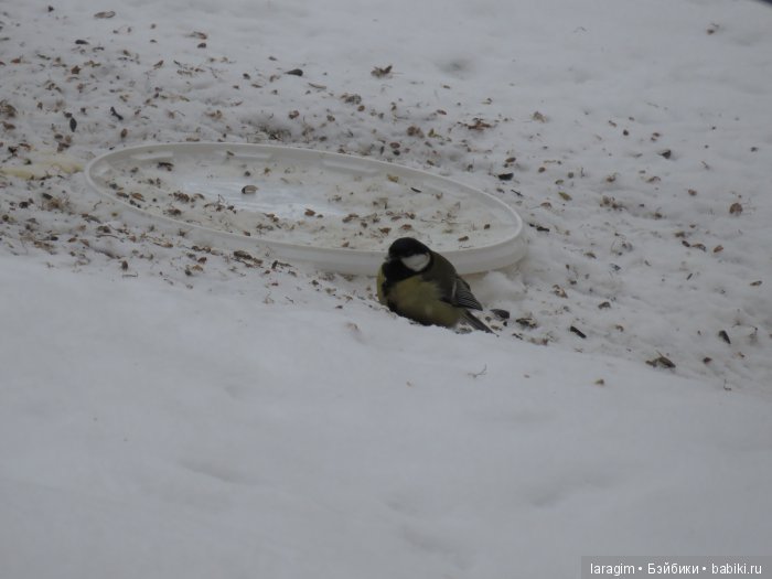 "Когда весна придет - не знаю..." или одежда для Wichtel от Rosemarie Müller своими руками