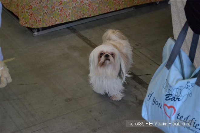 выставка мишек тедди Teddy Bear Total 2013 в Германии