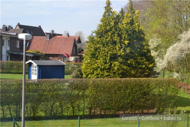 выставка мишек тедди Teddy Bear Total 2013 в Германии