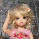 Маленькое чудо которое поселилось у нас дома. Борди от Iplehouse.