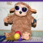 Суселка Гриди