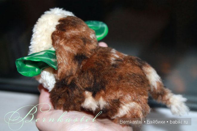 Храбрая сердцем. Суселка Фелиция