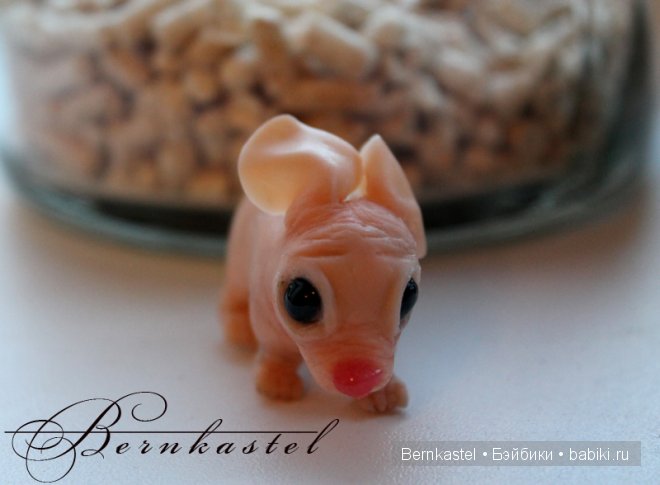 Суселка Оливия