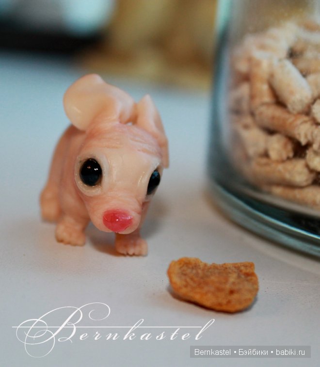 Суселка Оливия