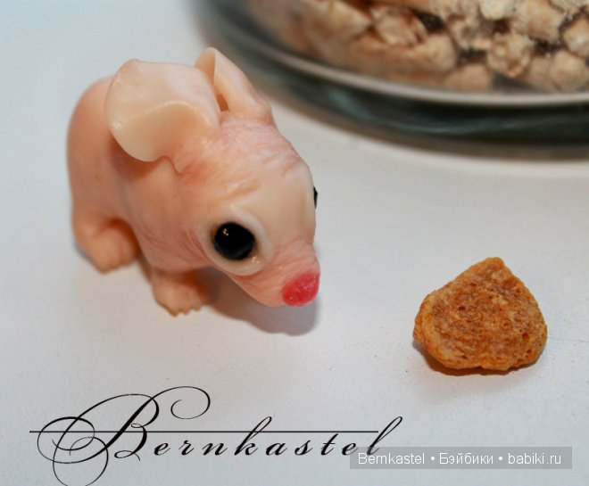 Суселка Оливия