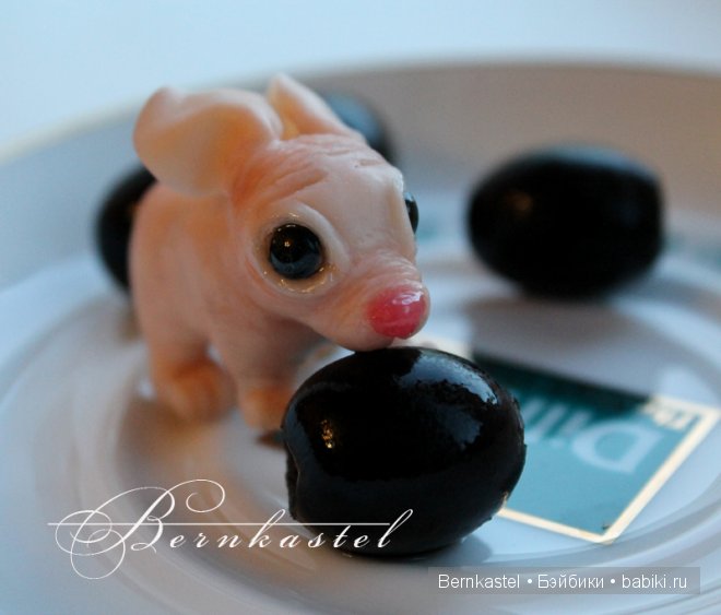 Суселка Оливия