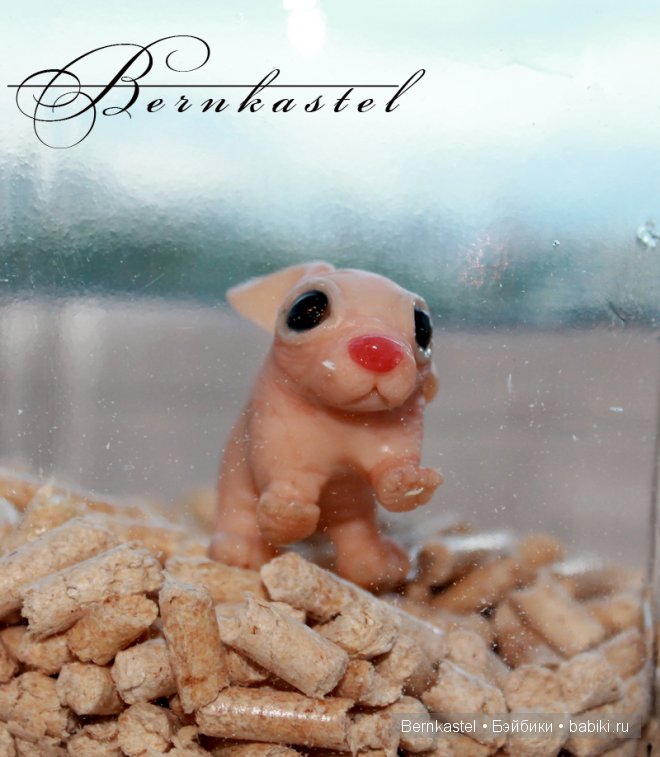 Маленькое существо в баночке