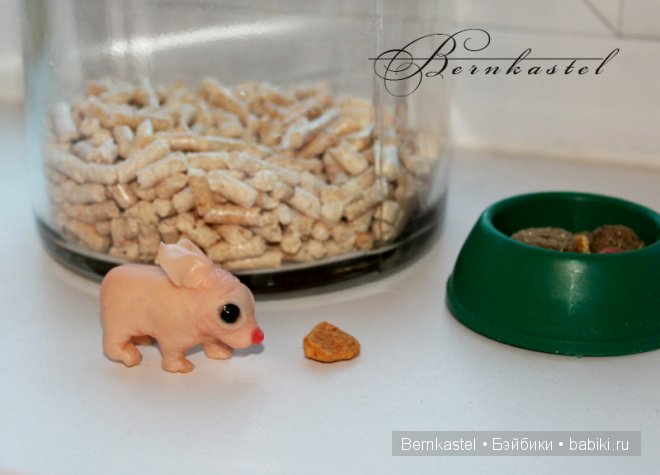 Суселка Оливия