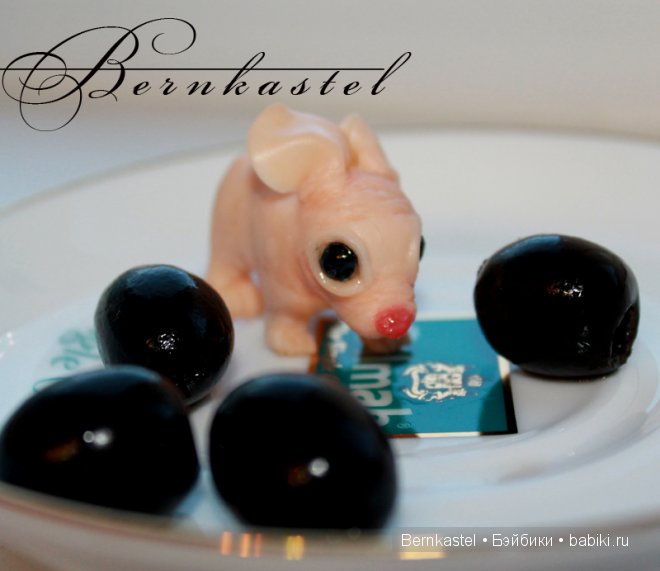 Суселка Оливия