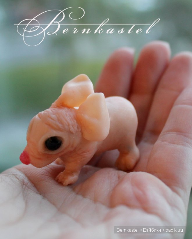 Суселка Оливия