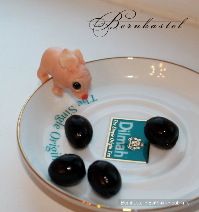 Суселка Оливия