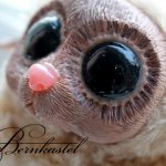 Летающая суселка Пинни