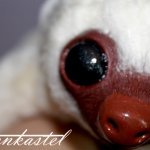 Маленький улыбчивый ленивец. Авторская игрушка