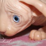 Котенок. Авторская игрушка.