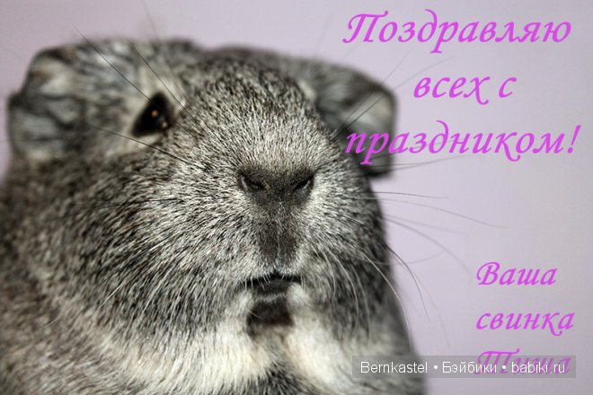 Всем любителям крысок и им подобным посвящается