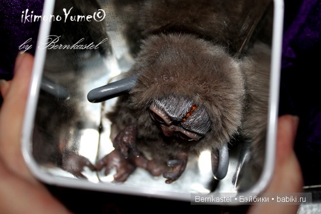 Хоко Дорси. Авторское существо от Бернкастель